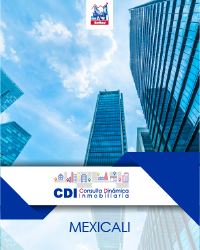 CDI Mensual Softec Mexicali